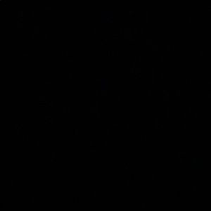 Meet your Posher, Dan